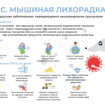 Профилактика ГЛПС